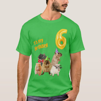 Its my Birthday 6th cute Hamster T-Shirt