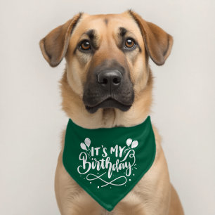 It's My Birthday Pet Bandana Collar