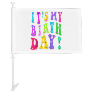 It's My Birthday Retro Groovy For Girls  Car Flag