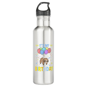 Its My Birthday Sloth T-Shirt Stainless Steel Water Bottle