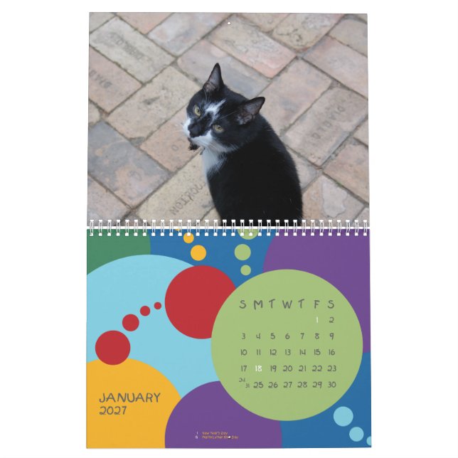 It's MY birthday, SUCKAS!!! Calendar (Jan 2027)