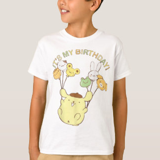 Its My Birthday T-Shirt