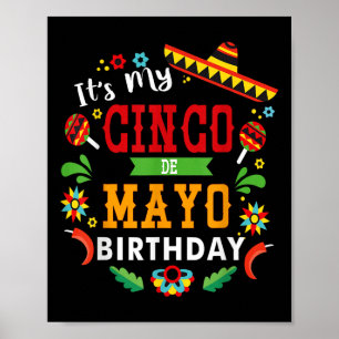 Its My Cinco De Mayo Birthday Funny Birthday Party Poster