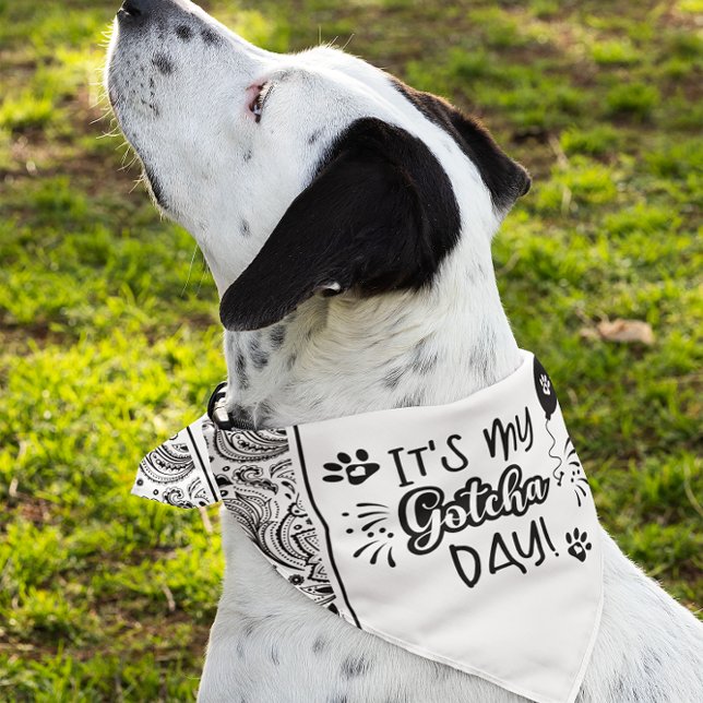 It's My Gotcha Day Typography Design Pet Bandana P Pet Bandana Collar (Creator Uploaded)