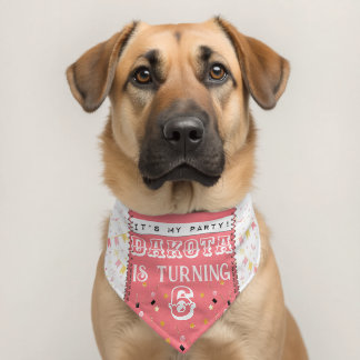 It's My Party Bandanna with Stitches Pet Bandana Collar