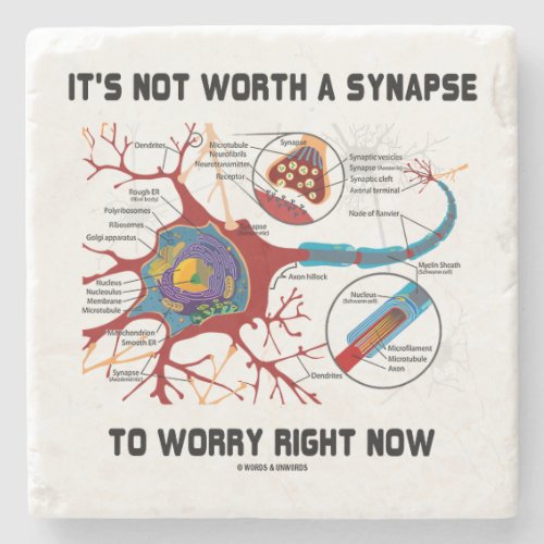 Its Not Worth A Synapse To Worry Right Now Humor Stone Coaster