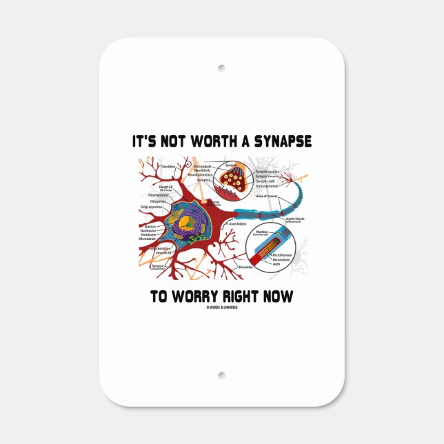 It's Not Worth A Synapse To Worry Right Now Neuron Metal Sign (Front)