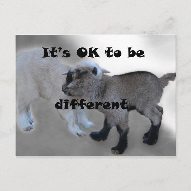 It's Ok to be different Postcard (Front)