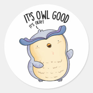 It's Owl Good Funny Bird Pun  Classic Round Sticker