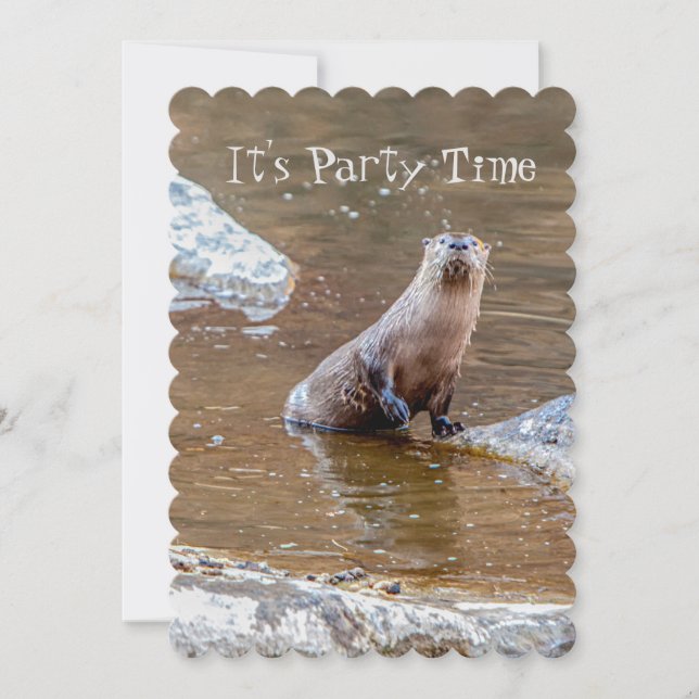 It's Party Time, Otter, Invitation,Birthday, Invitation (Front)