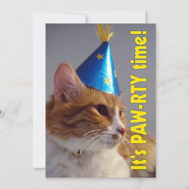 It's Paw-rty Time Cat - Birthday Invitation (Front)