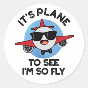 It's Plane To See I'm So Fly Funny Aeroplane Pun  Classic Round Sticker