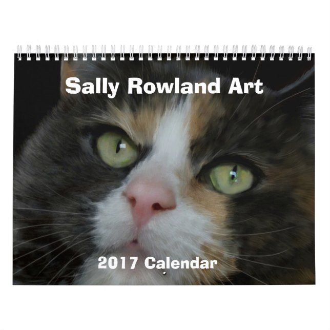 It's Raining Cats and Dogs! Calendar (Cover)