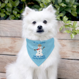 It's sNOw Mystery Detective Snowman Blue Pet Bandana Collar