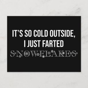 It's So Cold Outside I Just Farted Snowflakes Postcard