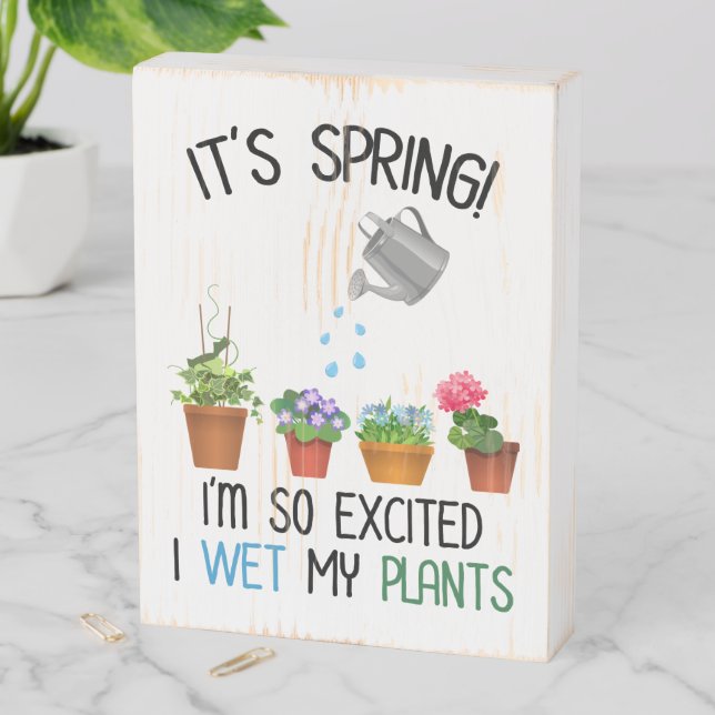It's Spring! I'm So Excited I Wet My Plants Wooden Box Sign (In Situ Vertical)