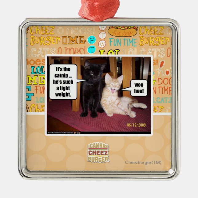 It's the catnip metal ornament (Front)