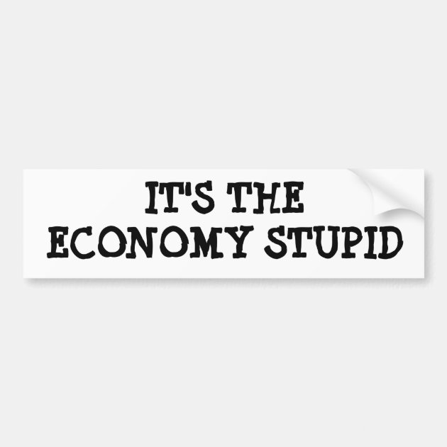 IT'S THE ECONOMY STUPID BUMPER STICKER | Zazzle