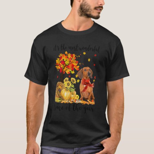 Its The Most Wonderful Autumn Time Dachshund Pump T_Shirt