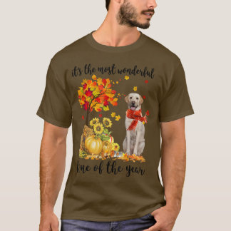 Its The Most Wonderful Autumn Time Labrador Pumpki T-Shirt