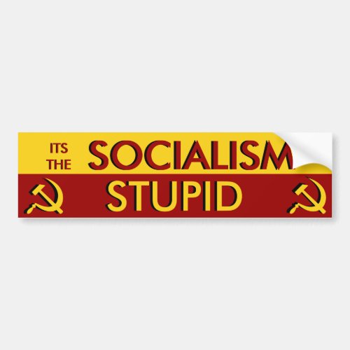 Its the Socialism Stupid Bumper Sticker