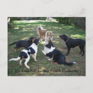 It's Time For Another Family Gathering