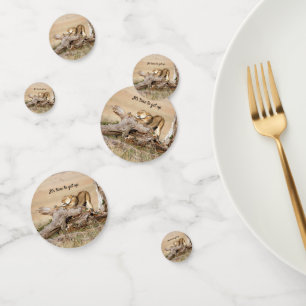 It's time to get up Lion photo with text Confetti