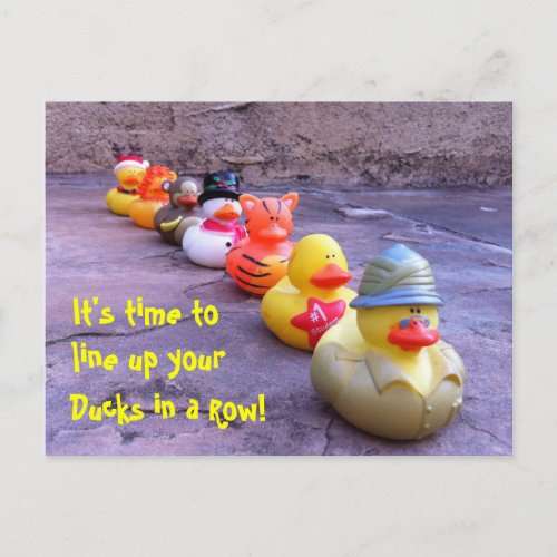 Its time to line up your Ducks in a Row Postcard