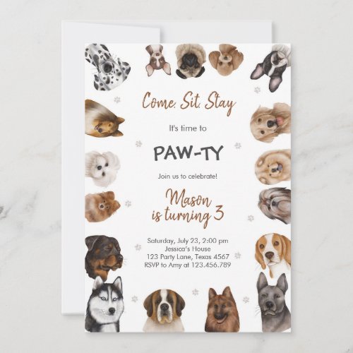 It's Time to Paw-ty Party Animals Kids Birthday