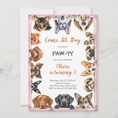 It's Time to Paw-ty Party Animals Kids Birthday