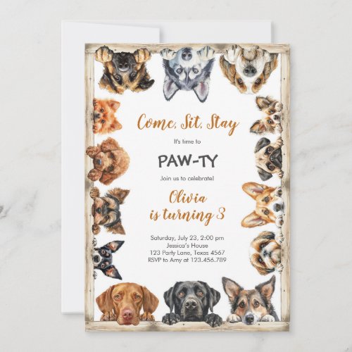 It's Time to Paw-ty Party Animals Kids Birthday