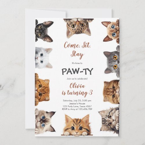 It's Time to Paw-ty Party Animals Kids Birthday