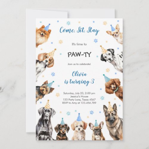 It's Time to Paw-ty Party Animals Kids Birthday