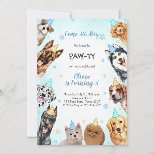 It's Time to Paw-ty Party Animals Kids Birthday