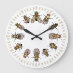 It's Time To Sort Drosophila! Large Clock