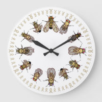 It's Time To Sort Drosophila!
