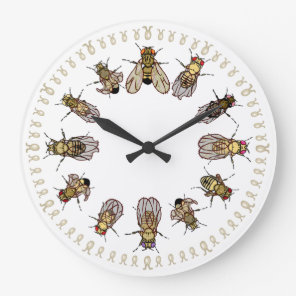 It's Time To Sort Drosophila! Large Clock