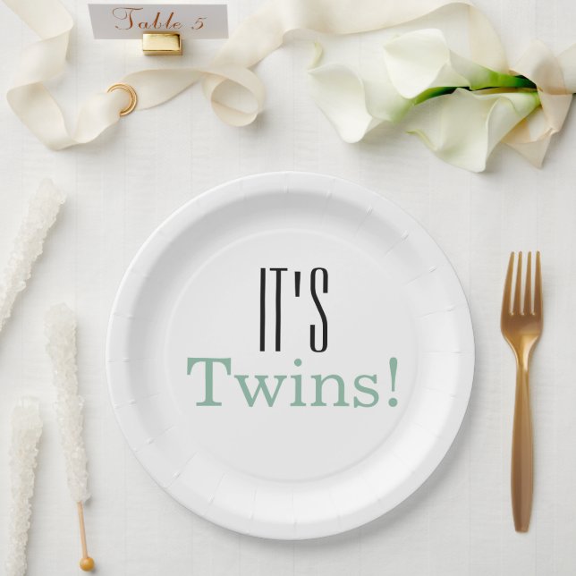 It's Twins! Baby Shower Party Paper Plates (Wedding)
