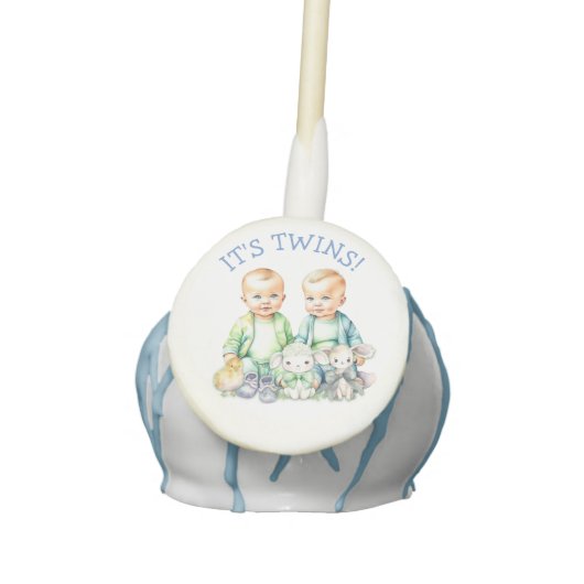 It's Twins! Cute boy twins Baby Shower Treats Cake Pops (Front)