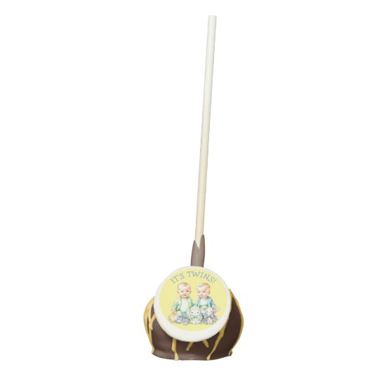 It's Twins! Cute boy twins Baby Shower Treats Cake Pops (Front)