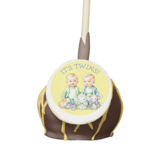 It's Twins! Cute boy twins Baby Shower Treats Cake Pops (Front)
