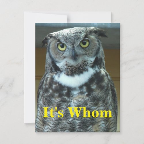 Its Whom Owl Note Card