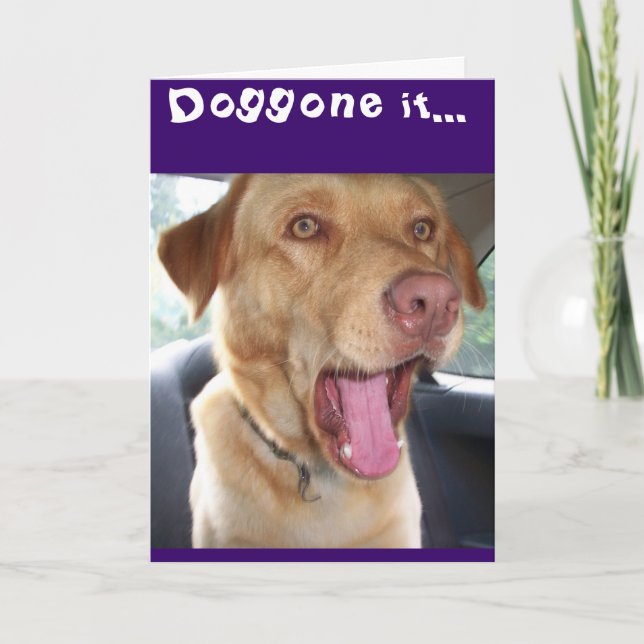 It's yer birthday doggone it! card (Front)