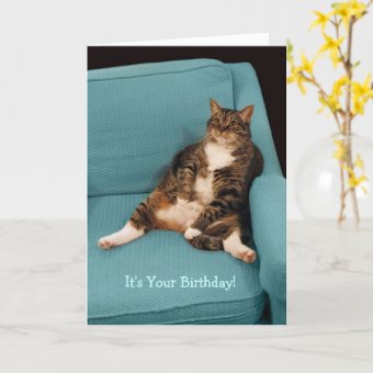 It's Your Birthday Big Fat Tabby Cat Greeting Card | Zazzle