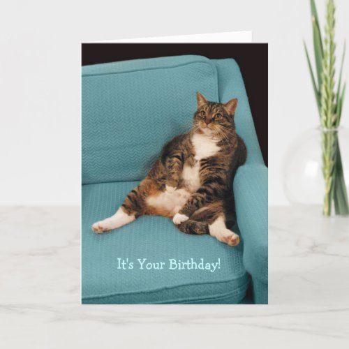 Its Your Birthday Big Fat Tabby Cat Greeting Card