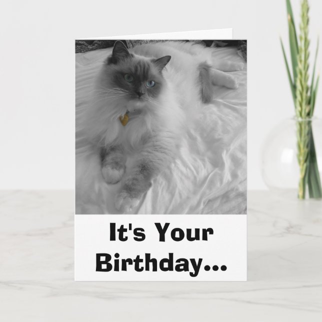 It's Your Birthday... Card (Front)