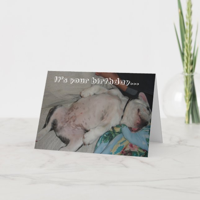 It's your birthday... card (Front)