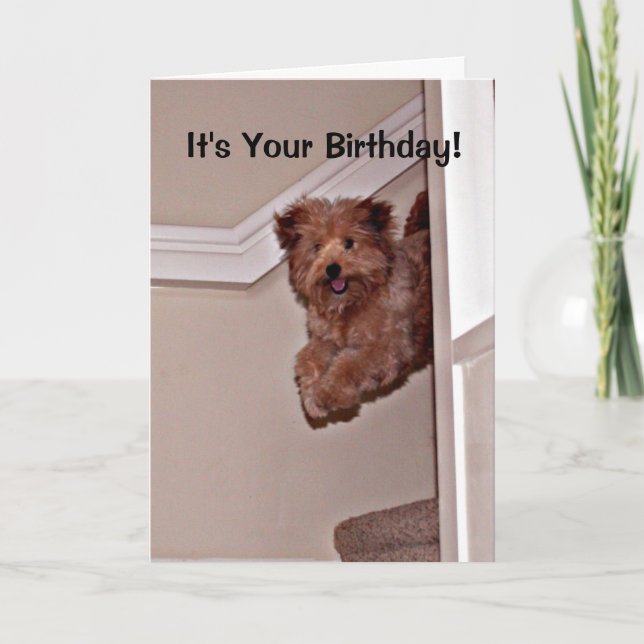 It's Your Birthday Excited Happy Dog Pet Card (Front)