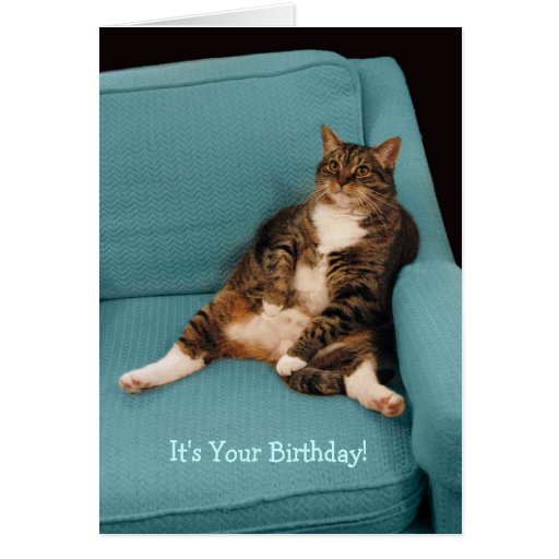 It's Your Birthday Fat Cat Greeting Card | Zazzle