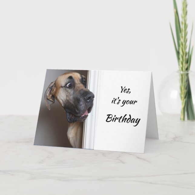 It's Your Birthday Fun Great Dane Dog Humor Card (Front)